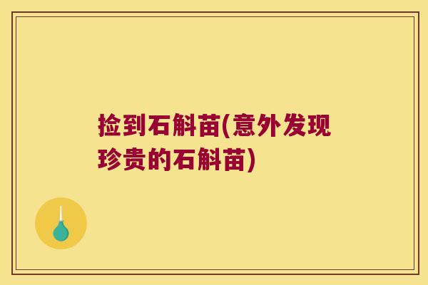 捡到石斛苗(意外发现珍贵的石斛苗)
