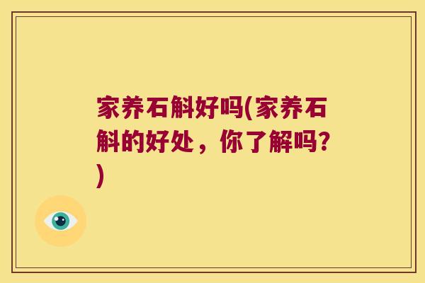 家养石斛好吗(家养石斛的好处,你了解吗?) 家养石斛好吗(家养石斛的好处,你了解吗?)