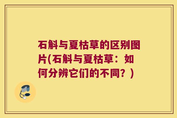 石斛与夏枯草的区别图片(石斛与夏枯草:如何分辨它们的不同?) 石斛与夏枯草的区别图片(石斛与夏枯草:如何分辨它们的不同?)