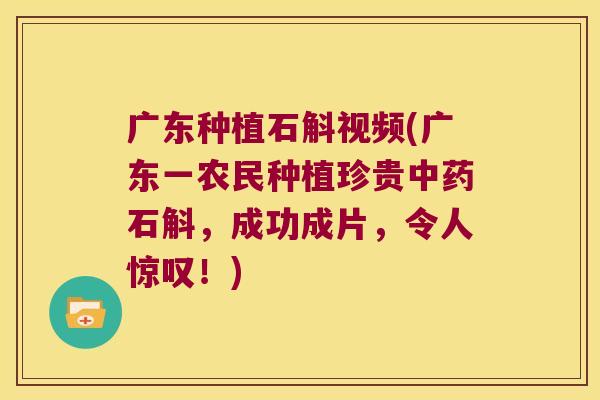 广东种植石斛视频(广东一农民种植珍贵中药石斛，成功成片，令人惊叹！)