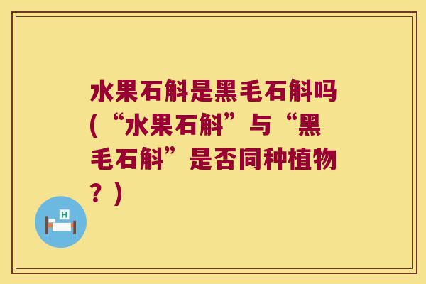 水果石斛是黑毛石斛吗(“水果石斛”与“黑毛石斛”是否同种植物？)