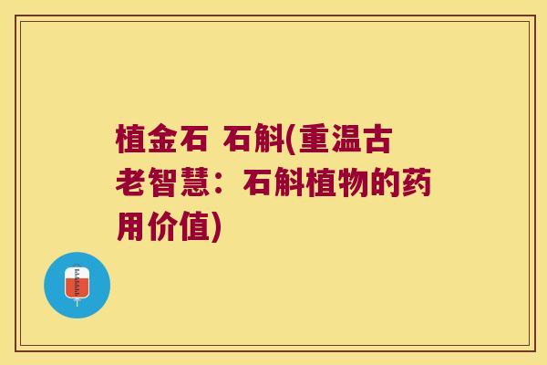 植金石 石斛(重温古老智慧：石斛植物的药用价值)