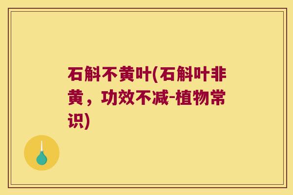 石斛不黄叶(石斛叶非黄，功效不减-植物常识)
