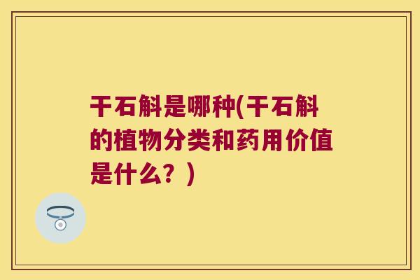 干石斛是哪种(干石斛的植物分类和药用价值是什么?) 干石斛是哪种(干石斛的植物分类和药用价值是什么?)