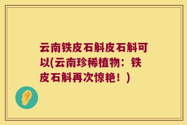 云南铁皮石斛皮石斛可以(云南珍稀植物：铁皮石斛再次惊艳！)