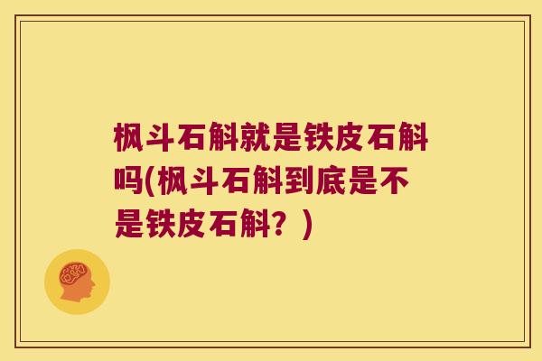 枫斗石斛就是铁皮石斛吗(枫斗石斛到底是不是铁皮石斛？)