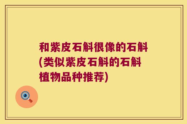 和紫皮石斛很像的石斛(类似紫皮石斛的石斛植物品种推荐)