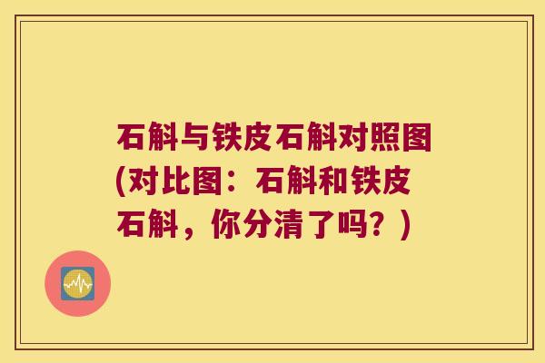石斛与铁皮石斛对照图(对比图：石斛和铁皮石斛，你分清了吗？)