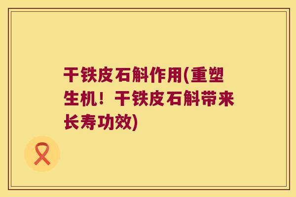 干铁皮石斛作用(重塑生机！干铁皮石斛带来长寿功效)