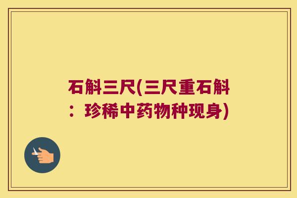石斛三尺(三尺重石斛：珍稀中药物种现身)