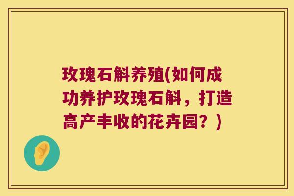 玫瑰石斛养殖(如何成功养护玫瑰石斛，打造高产丰收的花卉园？)