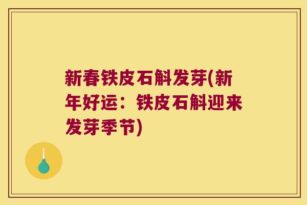 新春铁皮石斛发芽(新年好运：铁皮石斛迎来发芽季节)
