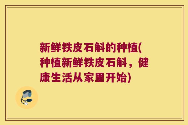 新鲜铁皮石斛的种植(种植新鲜铁皮石斛，健康生活从家里开始)