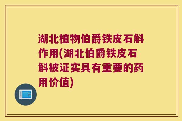 湖北植物伯爵铁皮石斛作用(湖北伯爵铁皮石斛被证实具有重要的药用价值)