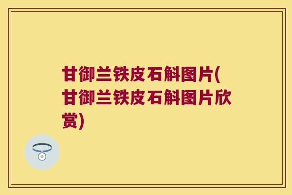 甘御兰铁皮石斛图片(甘御兰铁皮石斛图片欣赏)