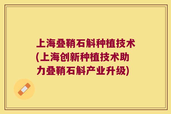 上海叠鞘石斛种植技术(上海创新种植技术助力叠鞘石斛产业升级)