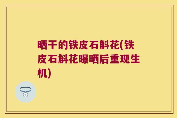 晒干的铁皮石斛花(铁皮石斛花曝晒后重现生机)