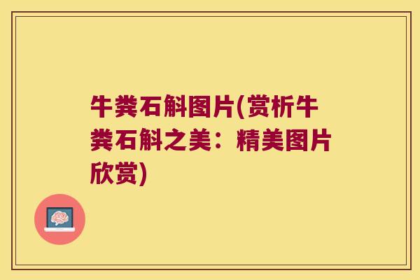 牛粪石斛图片(赏析牛粪石斛之美：精美图片欣赏)