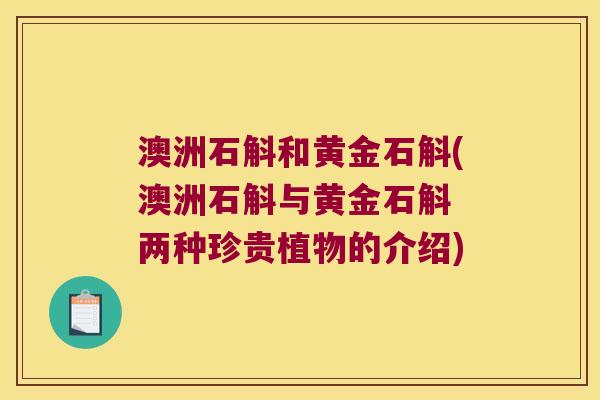 澳洲石斛和黄金石斛(澳洲石斛与黄金石斛 两种珍贵植物的介绍) 澳洲石斛和黄金石斛(澳洲石斛与黄金石斛 两种珍贵植物的介绍)