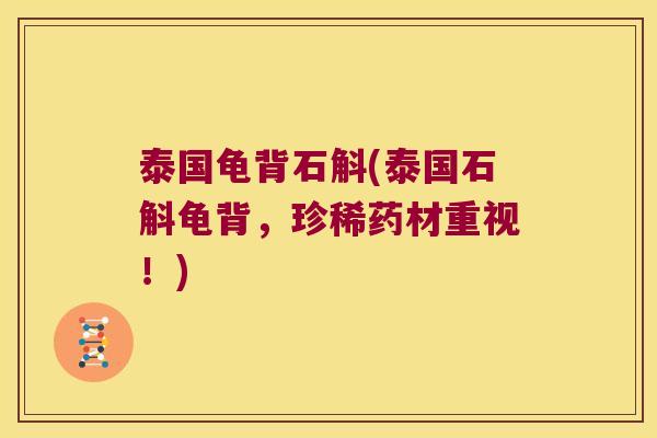 泰国龟背石斛(泰国石斛龟背，珍稀药材重视！)