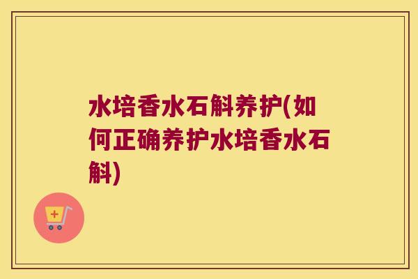 水培香水石斛养护(如何正确养护水培香水石斛)