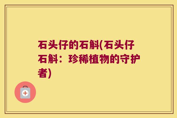石头仔的石斛(石头仔石斛：珍稀植物的守护者)