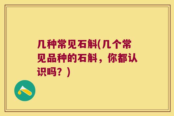 几种常见石斛(几个常见品种的石斛，你都认识吗？)