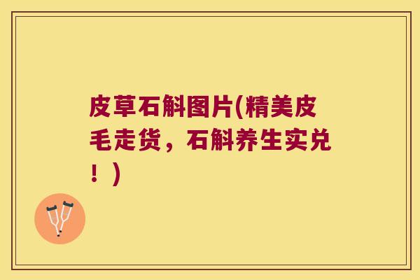 皮草石斛图片(精美皮毛走货，石斛养生实兑！)
