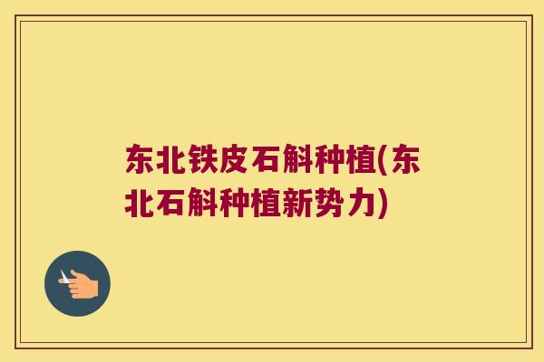 东北铁皮石斛种植(东北石斛种植新势力) 东北铁皮石斛种植(东北石斛种植新势力)