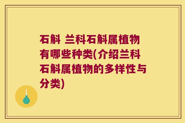 石斛 兰科石斛属植物有哪些种类(介绍兰科石斛属植物的多样性与分类)
