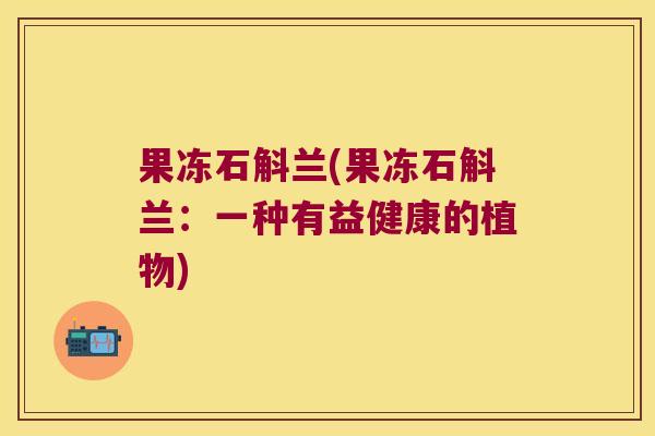 果冻石斛兰(果冻石斛兰:一种有益健康的植物) 果冻石斛兰(果冻石斛兰:一种有益健康的植物)