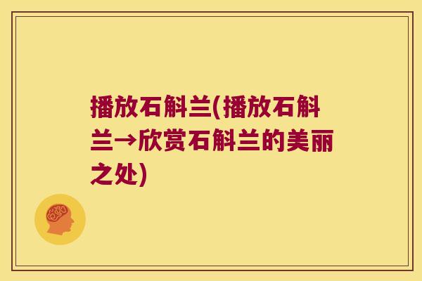 播放石斛兰(播放石斛兰→欣赏石斛兰的美丽之处)