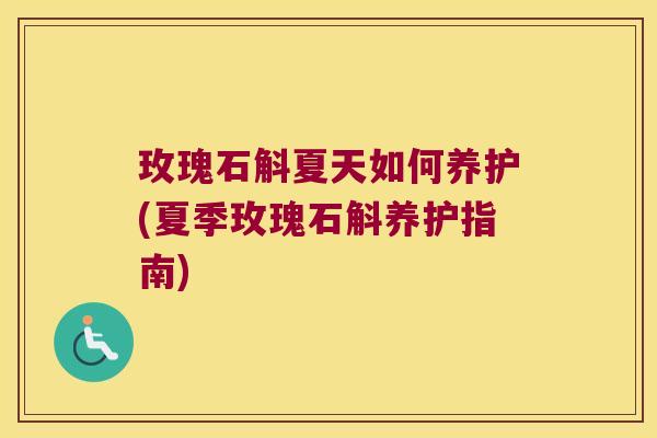 玫瑰石斛夏天如何养护(夏季玫瑰石斛养护指南)