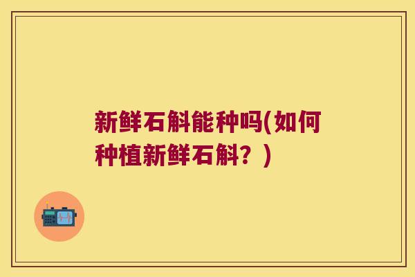 新鲜石斛能种吗(如何种植新鲜石斛?) 新鲜石斛能种吗(如何种植新鲜石斛?)