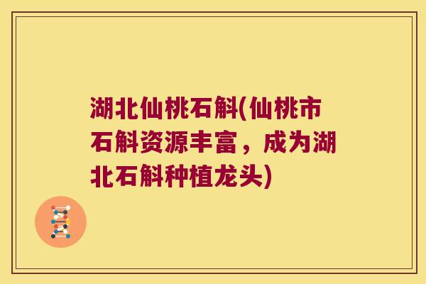 湖北仙桃石斛(仙桃市石斛资源丰富，成为湖北石斛种植龙头)