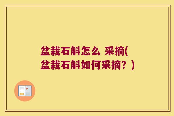 盆栽石斛怎么 采摘(盆栽石斛如何采摘？)