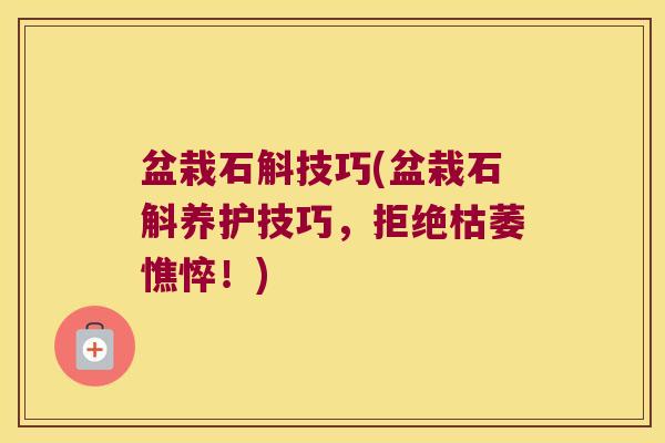 盆栽石斛技巧(盆栽石斛养护技巧，拒绝枯萎憔悴！)