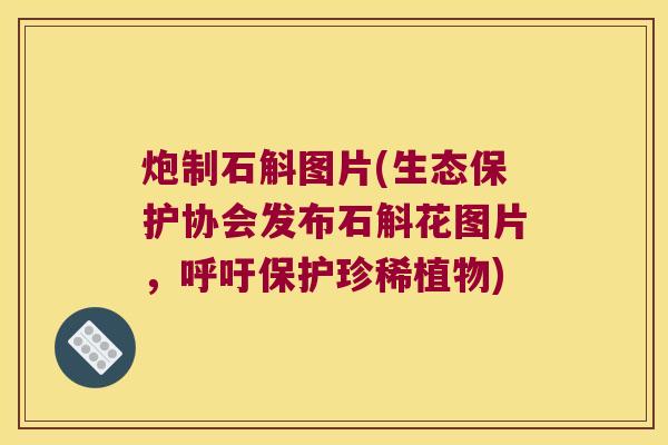 炮制石斛图片(生态保护协会发布石斛花图片，呼吁保护珍稀植物)