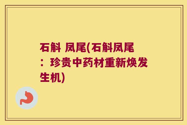 石斛 凤尾(石斛凤尾：珍贵中药材重新焕发生机)