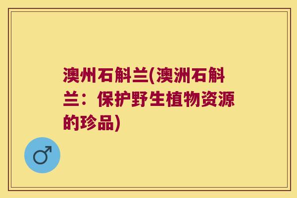 澳州石斛兰(澳洲石斛兰：保护野生植物资源的珍品)