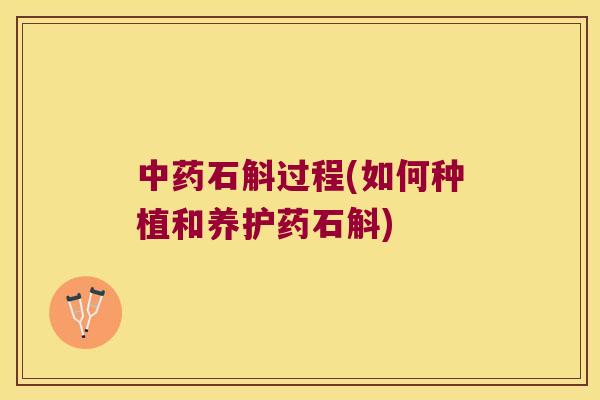 中药石斛过程(如何种植和养护药石斛)