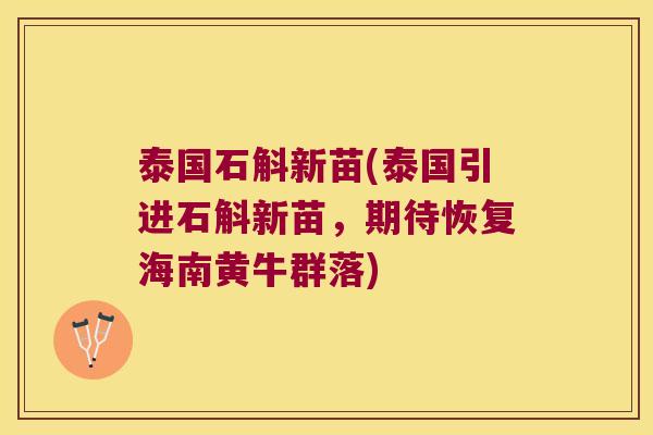 泰国石斛新苗(泰国引进石斛新苗，期待恢复海南黄牛群落)
