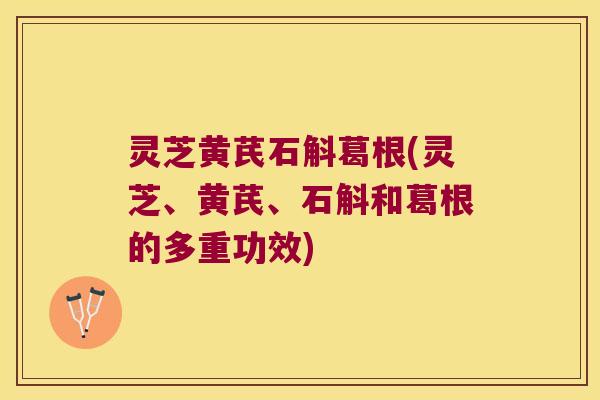 灵芝黄芪石斛葛根(灵芝、黄芪、石斛和葛根的多重功效)