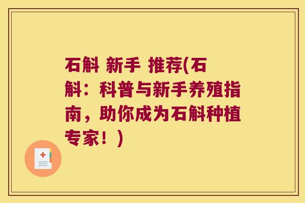 石斛 新手 推荐(石斛：科普与新手养殖指南，助你成为石斛种植专家！)