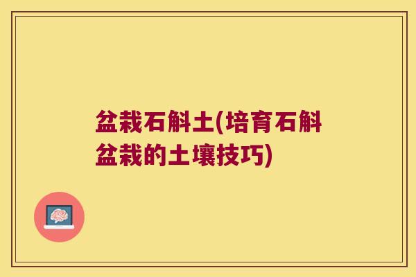 盆栽石斛土(培育石斛盆栽的土壤技巧)