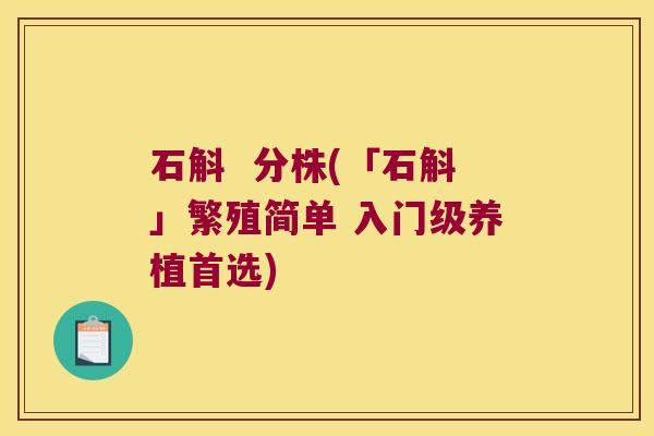 石斛 分株(「石斛」繁殖简单 入门级养植首选) 石斛 分株(「石斛」繁殖简单 入门级养植首选)