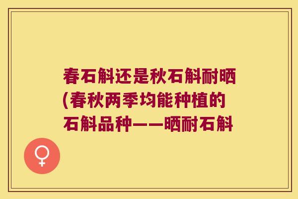 春石斛还是秋石斛耐晒(春秋两季均能种植的石斛品种——晒耐石斛