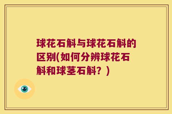 球花石斛与球花石斛的区别(如何分辨球花石斛和球茎石斛？)