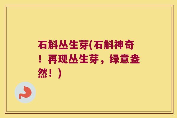石斛丛生芽(石斛神奇！再现丛生芽，绿意盎然！)