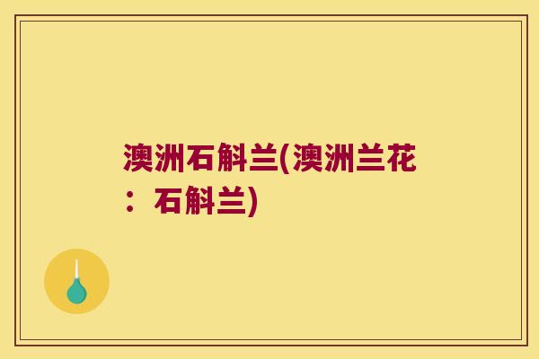 澳洲石斛兰(澳洲兰花：石斛兰)